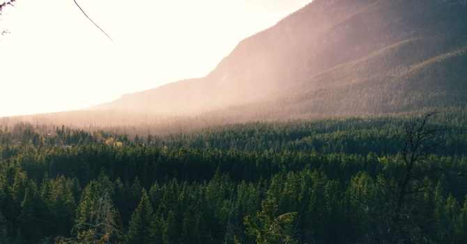 INDUSTRIAL MASSAGE and WORKPLACE CARE